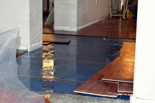 Professional Water Extraction technician working in Ray, MI